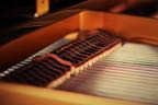 Grandpiano inside