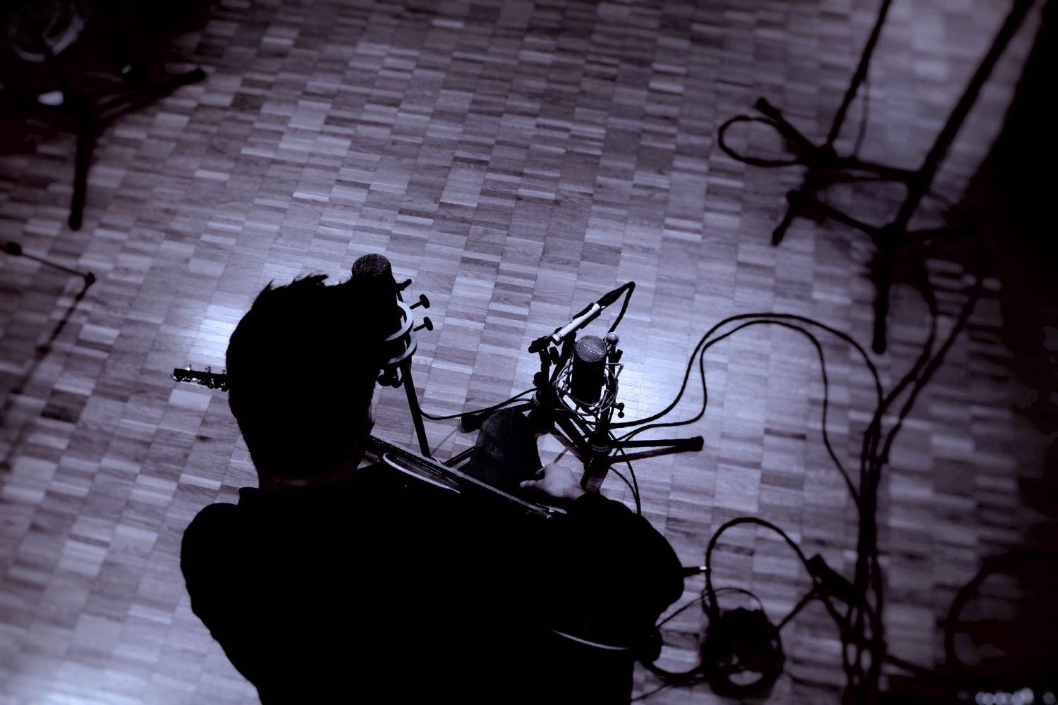 Denis Birdview